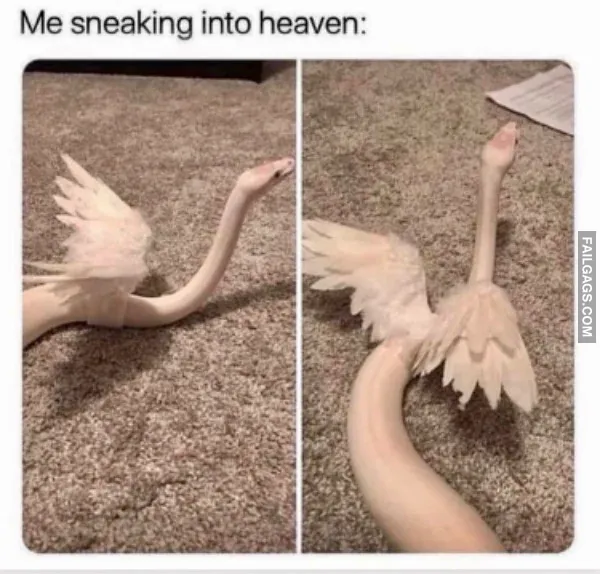 Random Funny Memes 8 1