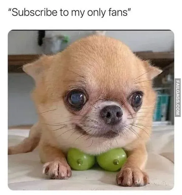 Random Funny Memes 9