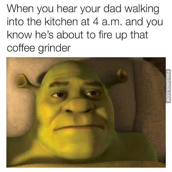 Funny Dad Memes 7