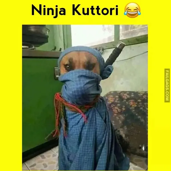 Funny Hindi Memes 9 1