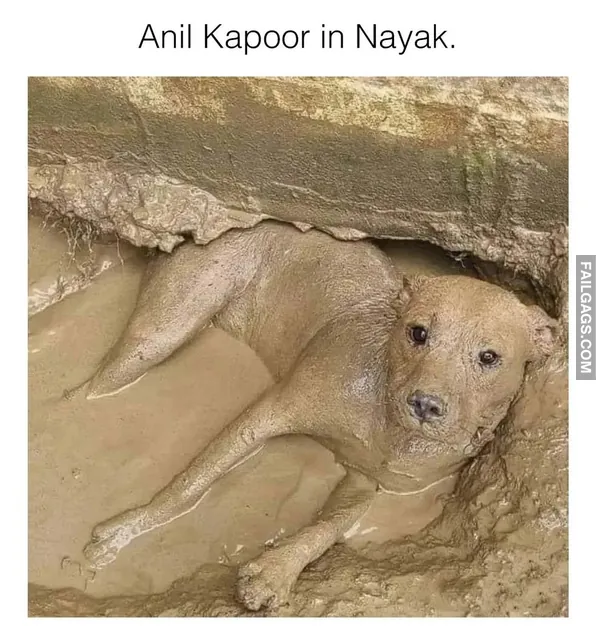 Funny Indian Memes 10