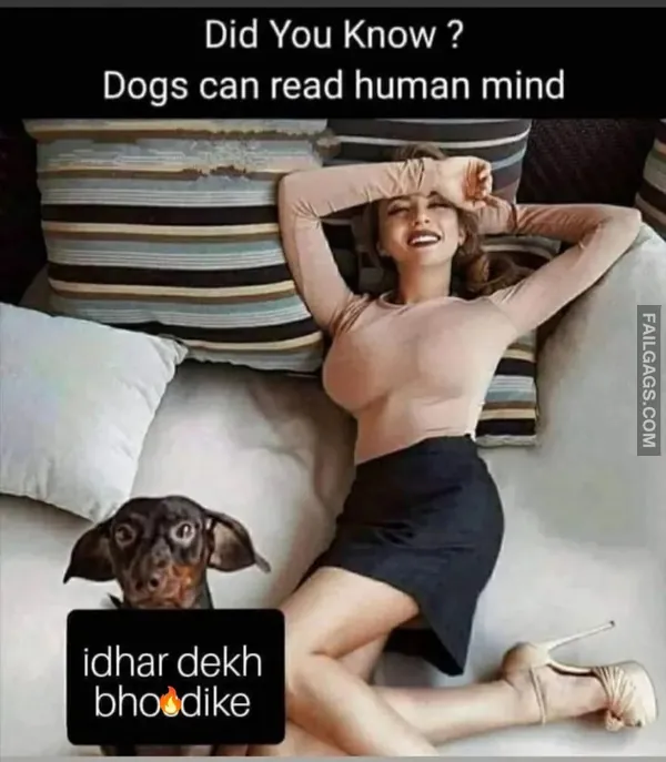 Funny Indian Memes 7 3