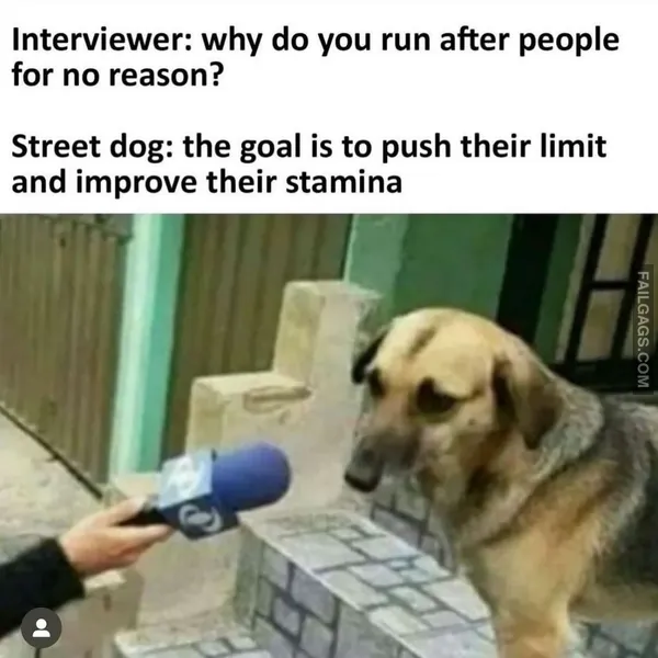 Funny Indian Memes 8 1