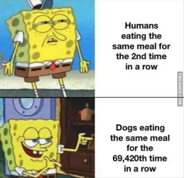 Funny Meme 8
