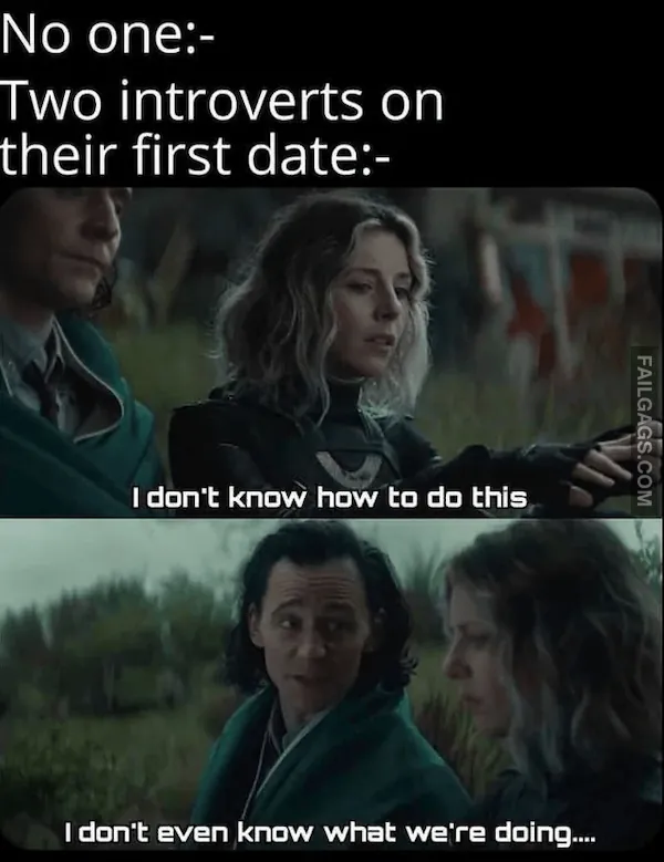 Funny Memes for Introverts 13