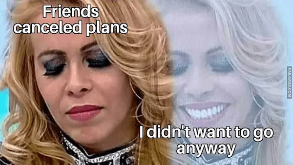 Funny Memes for Introverts 3