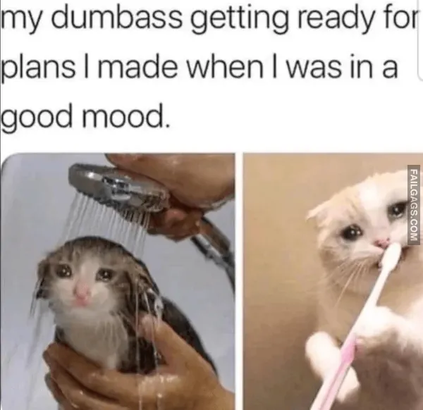 Funny Memes for Introverts 4