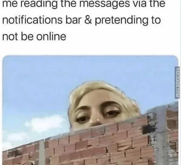 Funny Memes for Introverts 5