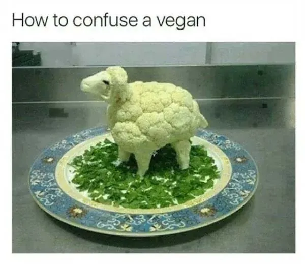 Funny Vegan Memes 1