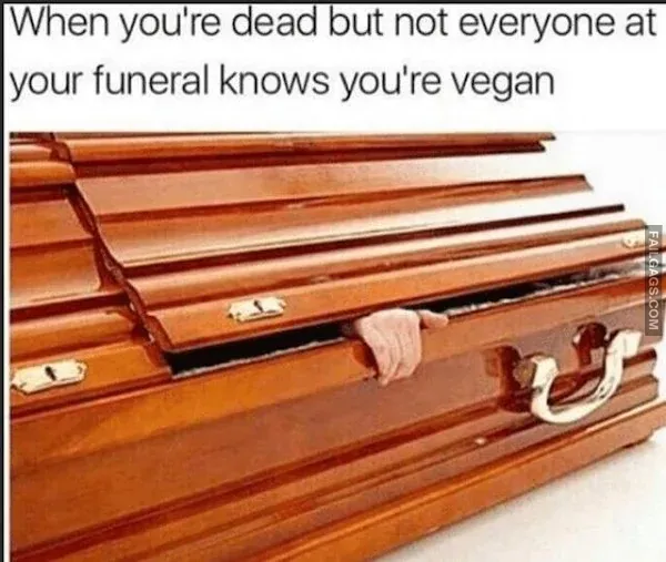 Funny Vegan Memes 2