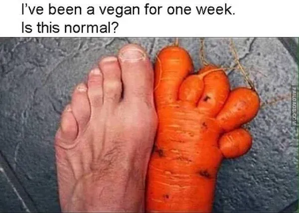 Funny Vegan Memes 3