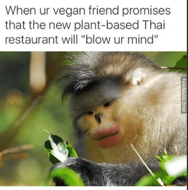 Funny Vegan Memes 5