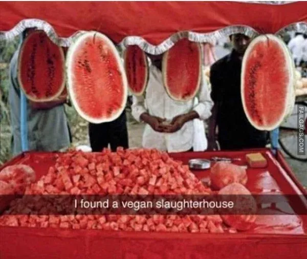 Funny Vegan Memes 8