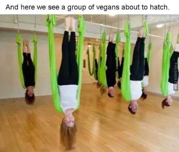 Funny Vegan Memes 9