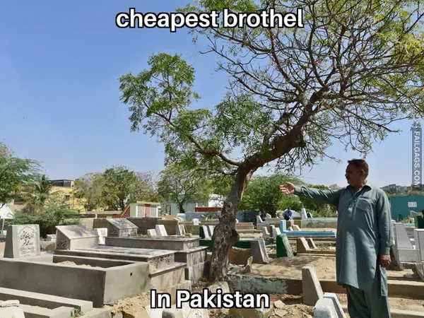 Indian Sex Memes 5 2