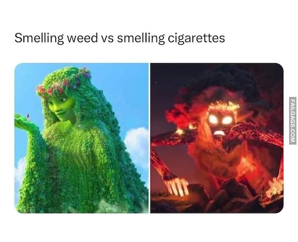 Stoner Memes 6