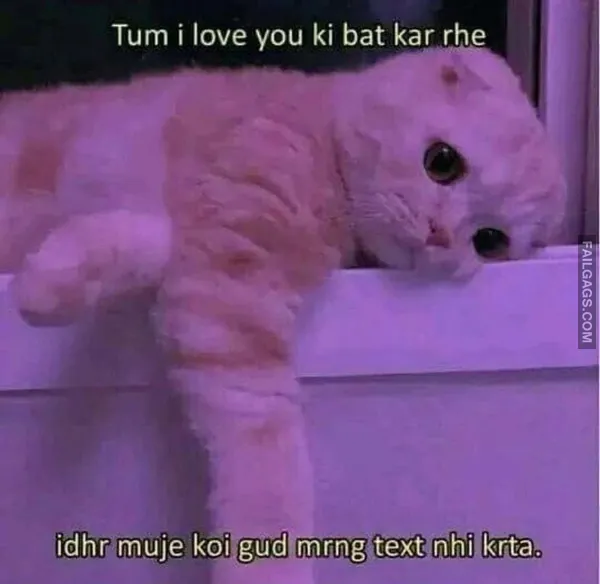 funny indian memes 12