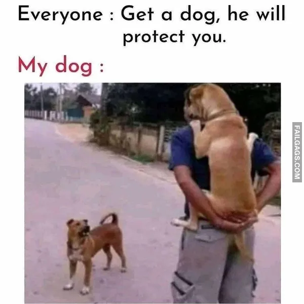 funny indian memes 6