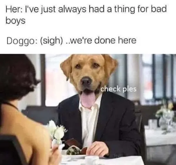 Dog Memes 1