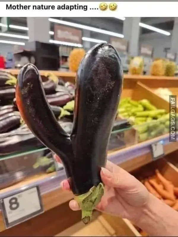 Funny Adult Memes 11