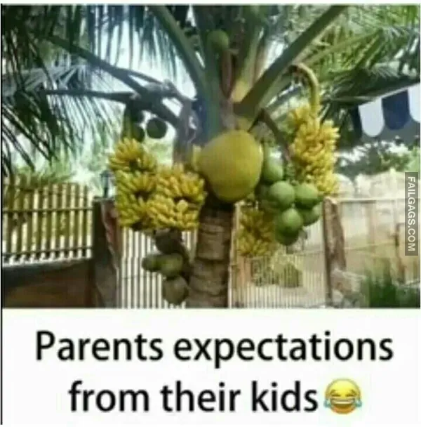 Funny Hindi Memes 11