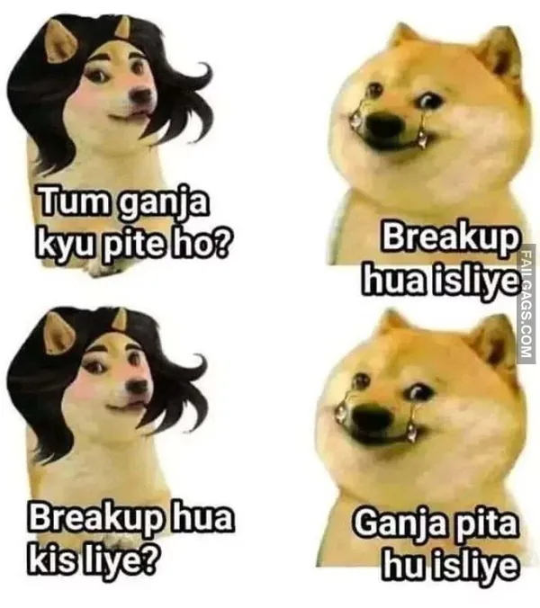 Funny Hindi Memes 8 1