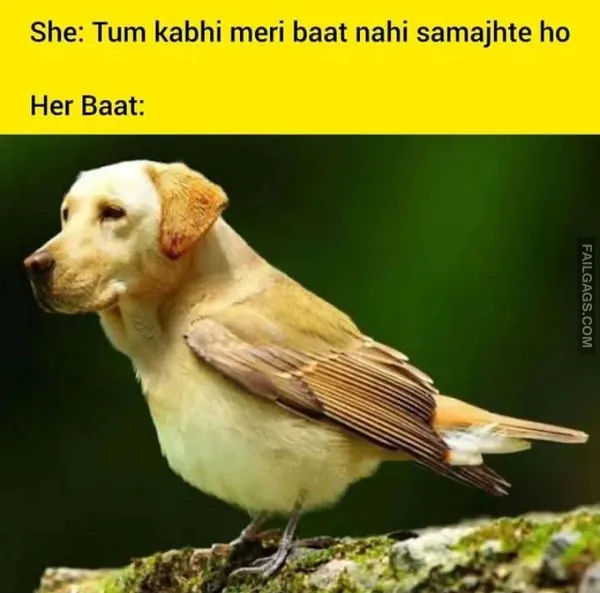 Indian Memes 9
