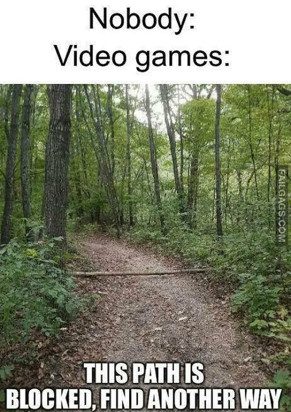 Funny Memes for Gamers 12