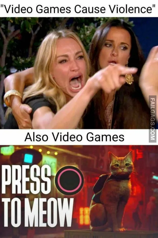 Funny Memes for Gamers 8