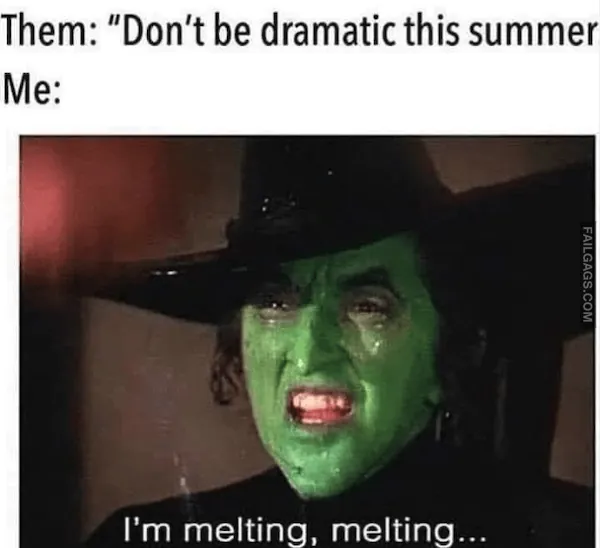 Summer Memes 11