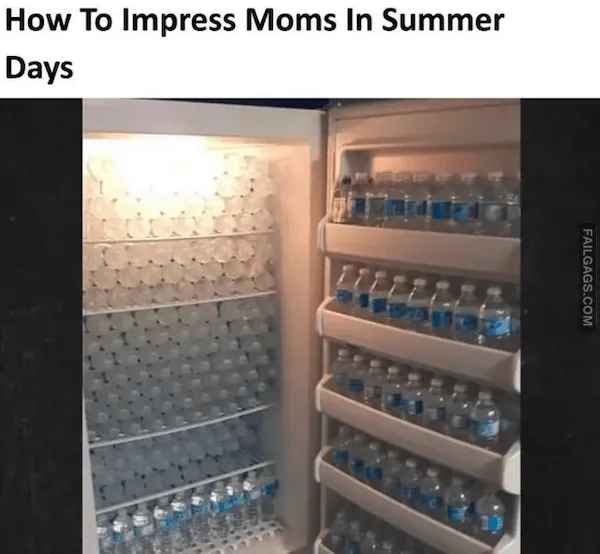 Summer Memes 12