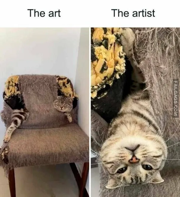 Funny Cat Memes 4