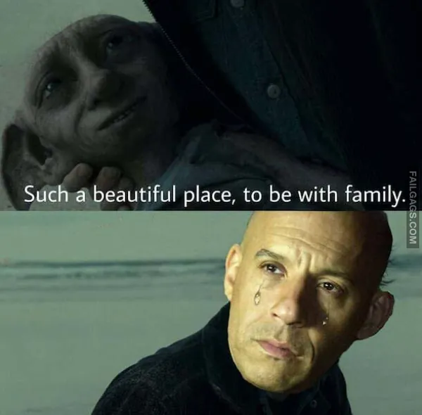 Harry Potter Memes 10