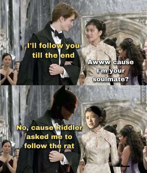 Harry Potter Memes 7