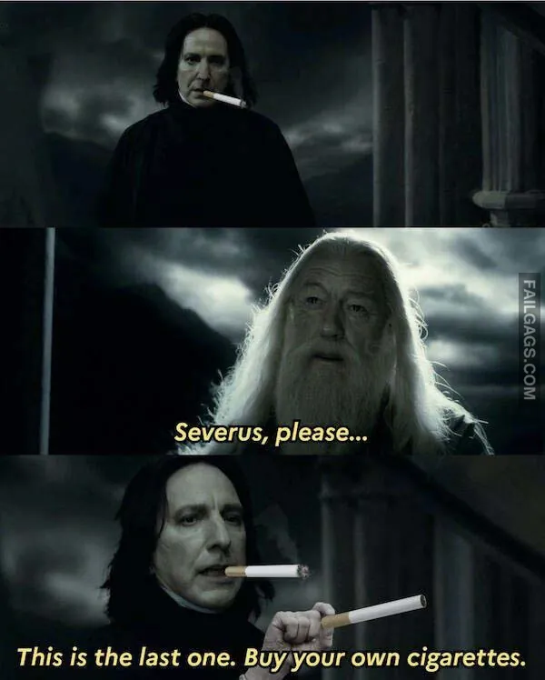 Harry Potter Memes 9