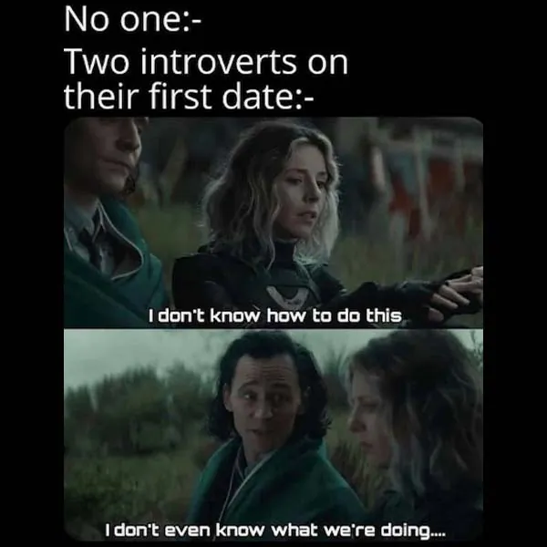 Introverts Memes 1