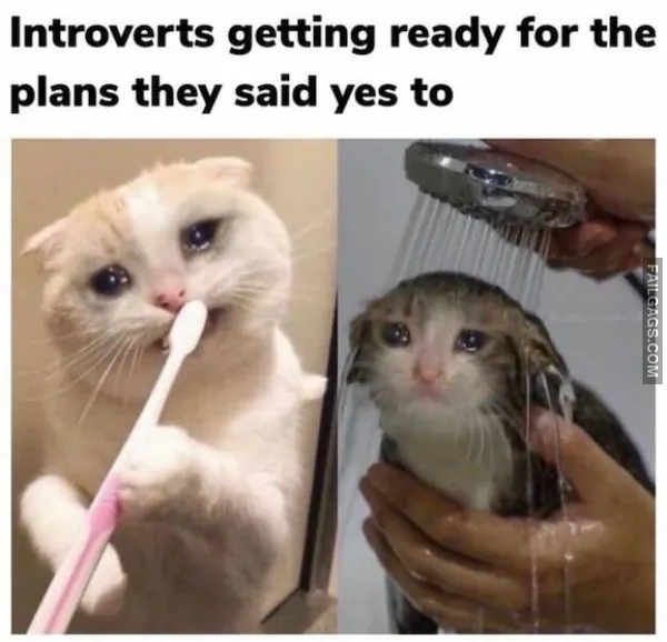 Introverts Memes 9