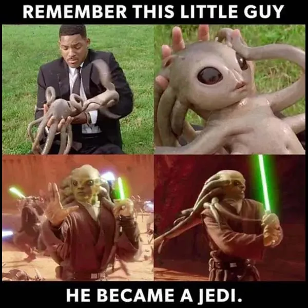 Star Wars Memes (1)