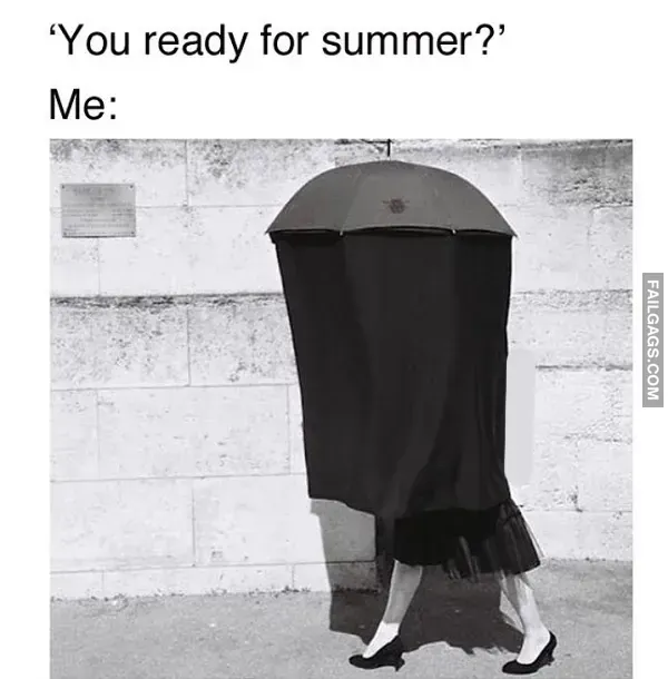 Summer Memes 6