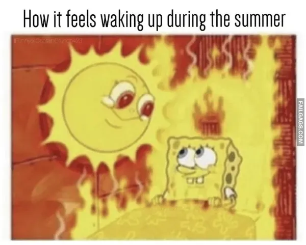 Summer Memes 9