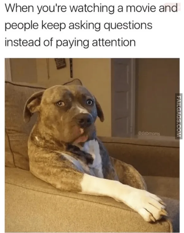 Dog Memes (10)