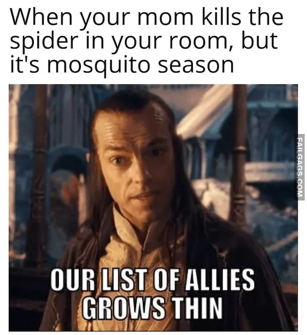 Lord of the Rings Meme (12)