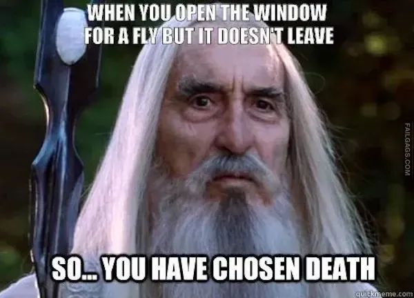 Lord of the Rings Meme (3)