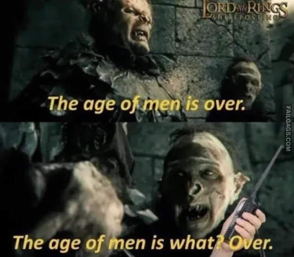 Lord of the Rings Meme (6)