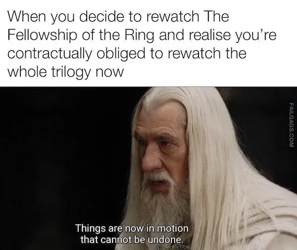 Lord of the Rings Memes (4)