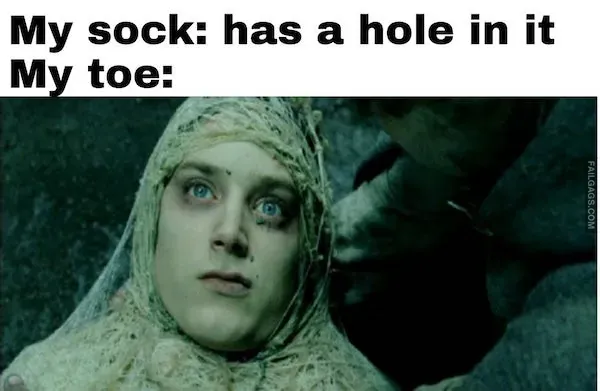 Lord of the Rings Memes (5)
