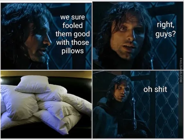 Lord of the Rings Memes (9)