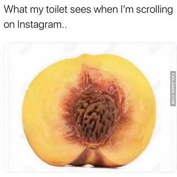 10 Funniest Instagram Meme (5)