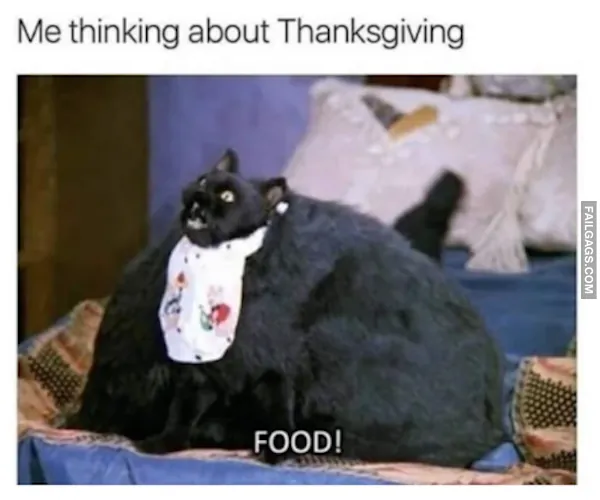 16 Thanksgiving Memes for You to Gobble Up (15)