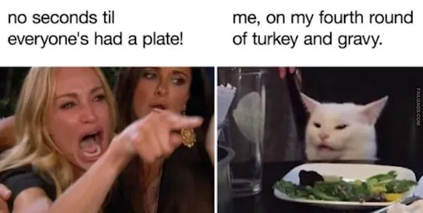 16 Thanksgiving Memes for You to Gobble Up (6)